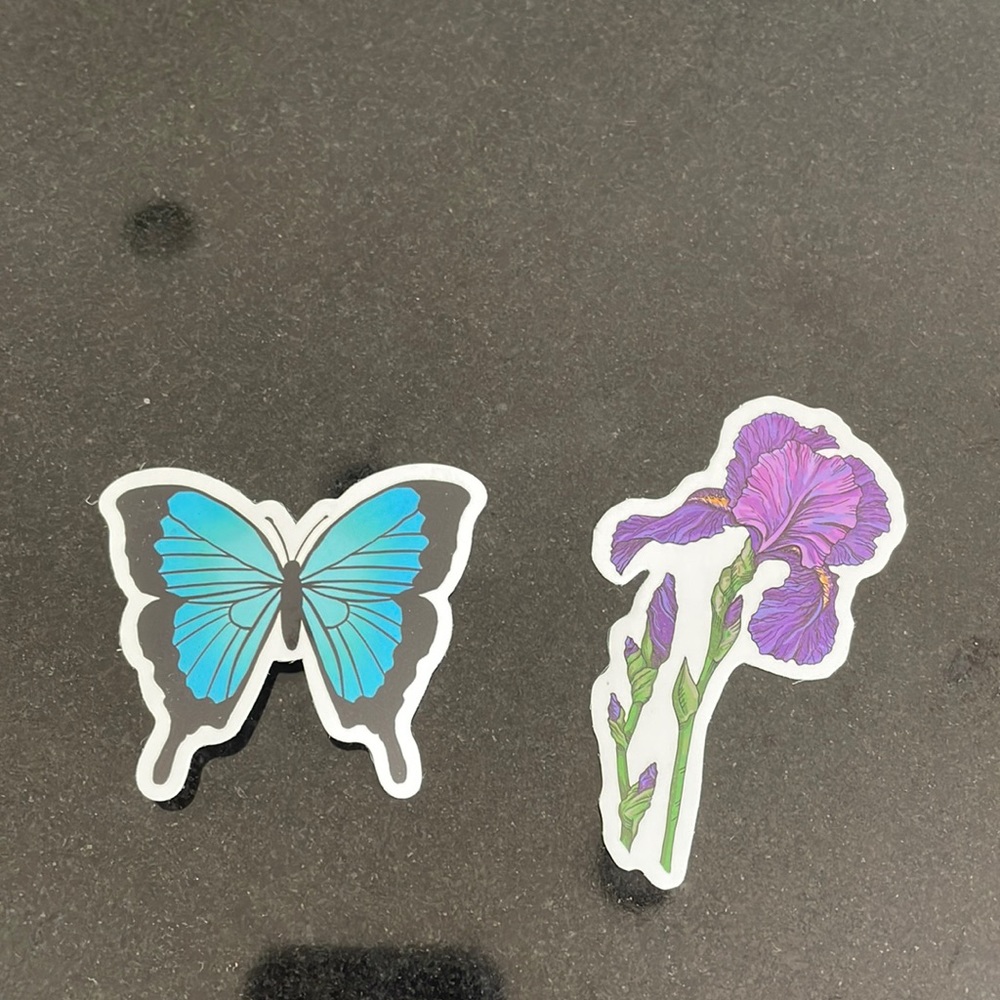 BUTTERFLY AND FLOWER STICKERS